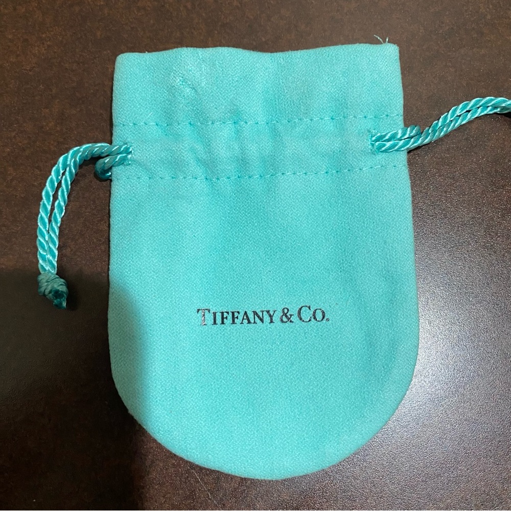 New Original Tiffany & Co. Soft Suede Jewelry Bag